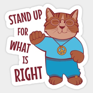 Stand Up for What is Right Sticker